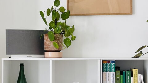 Østerbro - 2 Br - 4 People - Close To Metro: Bedroom