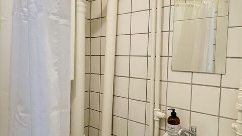 Amagerbro - 1 Br - 2 People - Close To Metro: Bathroom