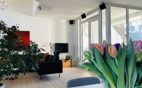 Vester Voldgade - Elegant 1 Bedroom Near Strøget: Living Room