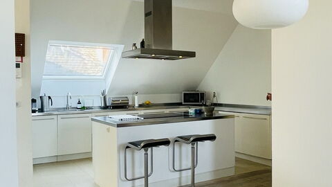 Vester Voldgade - Elegant 1 Bedroom Near Strøget: Kitchen