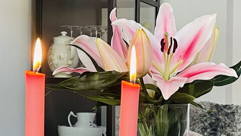 Frederiksberg - Perfect For Family: Room Detail