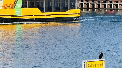 Sydhavnen - Best View - 1 Br - 2 People: Outdoor