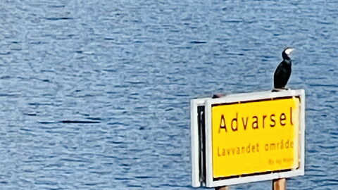 Sydhavnen - Best View - 1 Br - 2 People: Outdoor