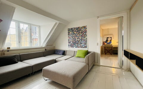 Christianshavn - 2 Br- 4 People - Stylish: Living Room