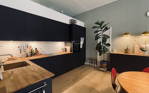 Carlsbergbyen - Vesterbro - 2 Br - 3 People: Kitchen