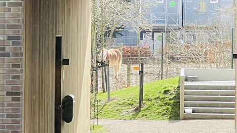 Carlsbergbyen - Vesterbro - 2 Br - 3 People: Building Exterior, Outdoor