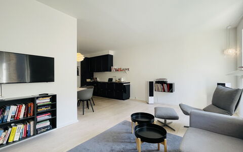 Frederiksberg - 3 Br - 5 People - Metro - Parking: Living Room