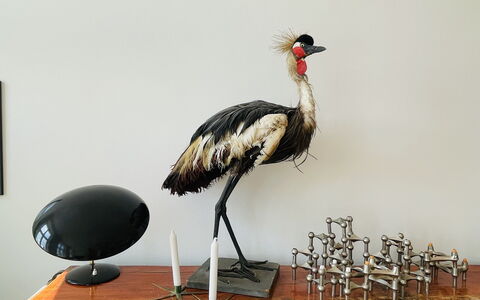 Center - Close To The Parlament - Tivoli - 3 Br: Room Detail