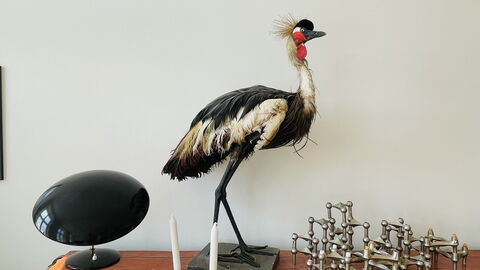 Center - Close To The Parlament - Tivoli - 3 Br: Room Detail