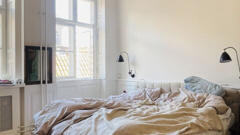 Center - Close To The Parlament - Tivoli - 3 Br: Bedroom