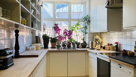 Center - Close To The Parlament - Tivoli - 3 Br: Kitchen