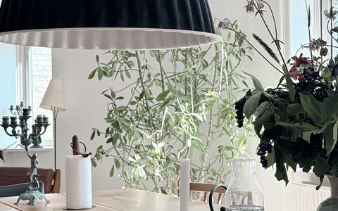 Frederiksberg - Close To Tivoli - 4 Br - 6 People: Dining Room, Kitchen, Living Room, Other Room