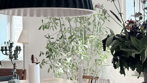 Frederiksberg - Close To Tivoli - 4 Br - 6 People: Dining Room, Kitchen, Living Room, Other Room