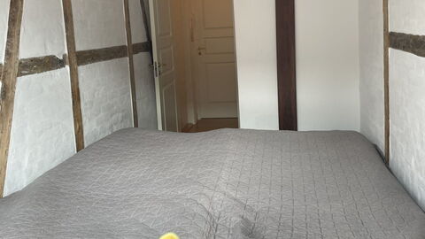 Gammel Kongevej - Family With Children - Tivoli: Bedroom