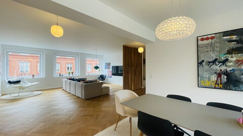 Close to Tivoli Garden -3 Br - 6 People -City Center: Living Room