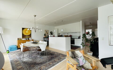 Islands Brygge - 2 Br -close To Water -4 People: Dining Room, Kitchen, Living Room