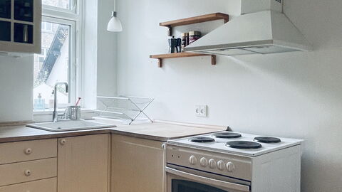 Frederiksberg - 3 Br - 6 People - Close To Metro: Kitchen