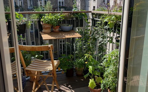 Østerbro - 1 Br - 2 People - Close To Metro: Balcony / Terrace / Patio, Building Exterior, Outdoor
