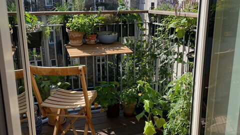 Østerbro - 1 Br - 2 People - Close To Metro: Balcony / Terrace / Patio, Building Exterior, Outdoor