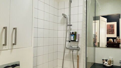 Frederiksberg - 2 Br - 4 People: Bathroom