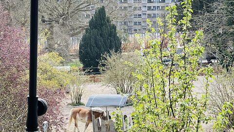 Carlsbergcity - 3br - 4 To 5 People - Family: Outdoor, Scenic View