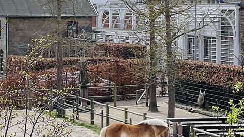 Carlsbergcity - 3br - 4 To 5 People - Family: Outdoor, Scenic View