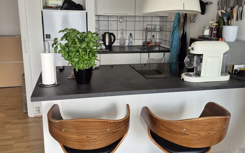 Vesterbro - 3 People - 1br - Close To Tivoli: Kitchen