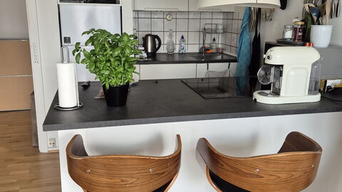 Vesterbro - 3 People - 1br - Close To Tivoli: Kitchen