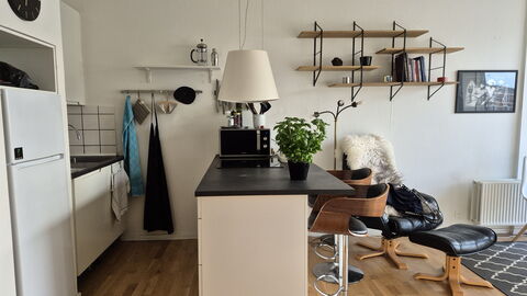 Vesterbro - 3 People - 1br - Close To Tivoli