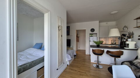 Vesterbro - 3 People - 1br - Close To Tivoli: Living Room