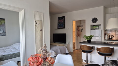 Vesterbro - 3 People - 1br - Close To Tivoli: Kitchen
