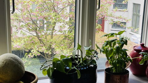 Islands Brygge - 2 Br -3 People -close To Habour: Kitchen