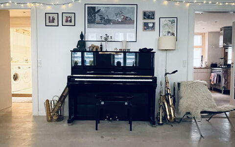 Fiolstræde - Family House On The Pedestrian Street: Living Room