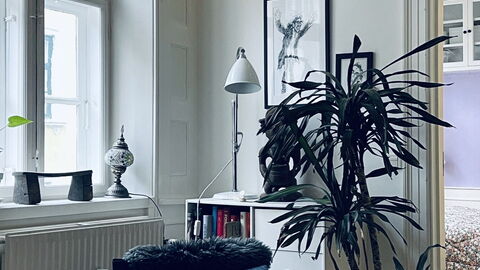 Fiolstræde - Family House On The Pedestrian Street: Living Room