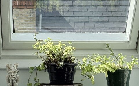 Østerbro - 2 People - 1 Br - 2 Beds - Loft: Kitchen