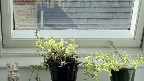 Østerbro - 2 People - 1 Br - 2 Beds - Loft: Kitchen