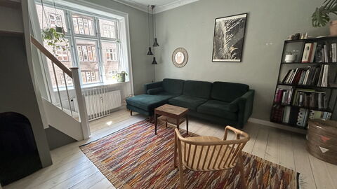 Østerbro - 2 Br - 4 People - Family: Living Room