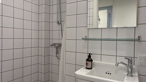 Nørrebro - Cozy Area - 2 People -1 Br: Bathroom