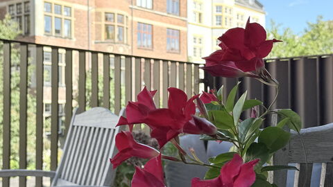 Frederiksberg Carlsberg City-2 Bedrooms: Balcony / Terrace / Patio