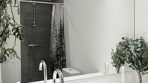 Amager Strand - Metro - 2 Br - 4 People: Bathroom