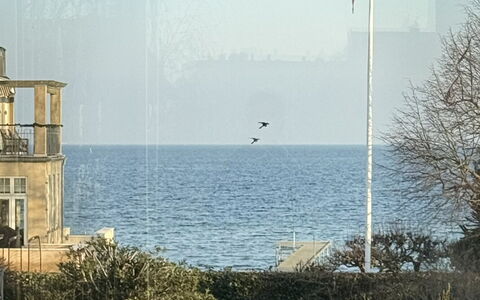 Hellerup - Luxury - 4 Br - 8 People - Beach: Scenic View