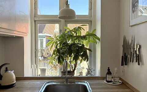 Close to Tivoli - 2 Br - 3 People: Kitchen