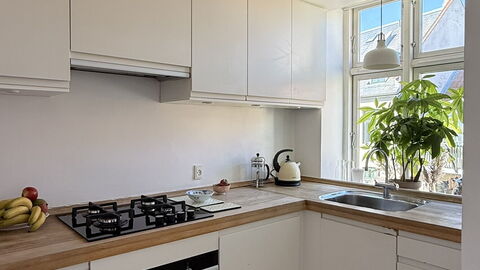 Close to Tivoli - 2 Br - 3 People: Kitchen