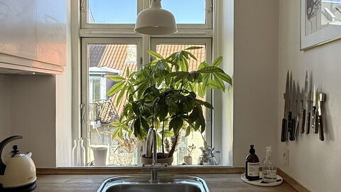 Close to Tivoli - 2 Br - 3 People: Kitchen