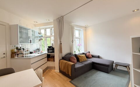 Nørrebro - 1 Br - 3 People - Close Metro: Kitchen, Living Room
