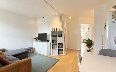 Nørrebro - 1 Br - 3 People - Close Metro: Living Room