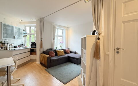Nørrebro - 1 Br - 3 People - Close Metro: Living Room