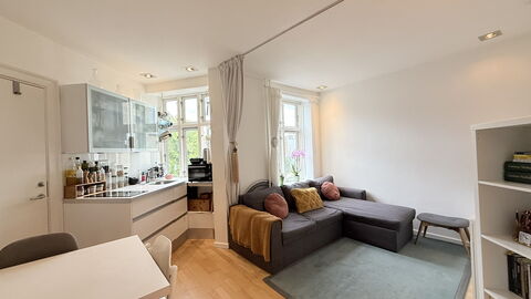 Nørrebro - 1 Br - 3 People - Close Metro: Kitchen, Living Room