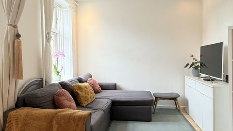 Nørrebro - 1 Br - 3 People - Close Metro: Living Room