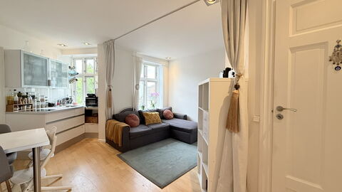 Nørrebro - 1 Br - 3 People - Close Metro: Living Room
